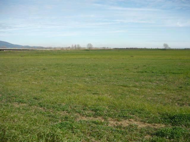 Terreno in vendita a Carpi MO