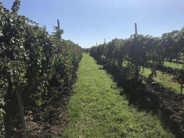 Terreno in vendita a Carpi MO