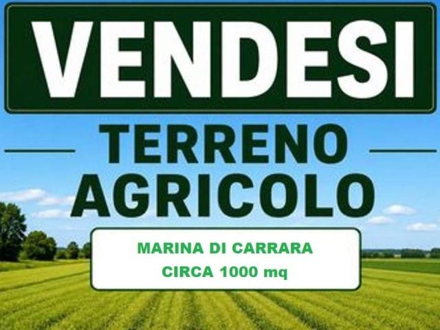 Terreno in vendita a Carrara MS