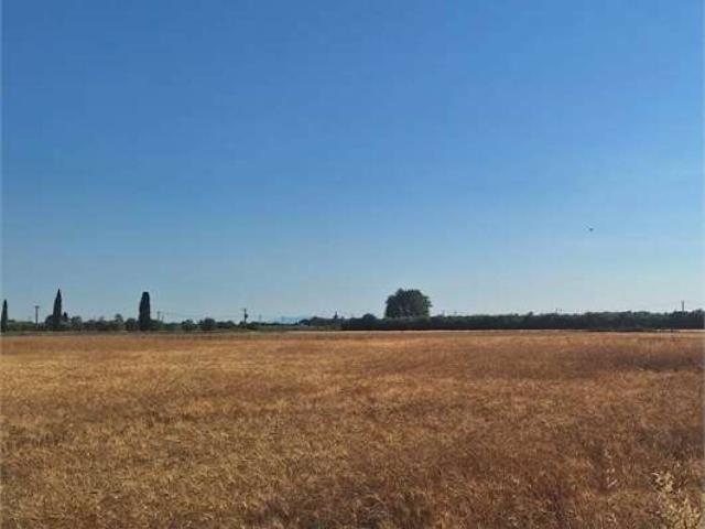Terreno in vendita a Castagneto Carducci LI