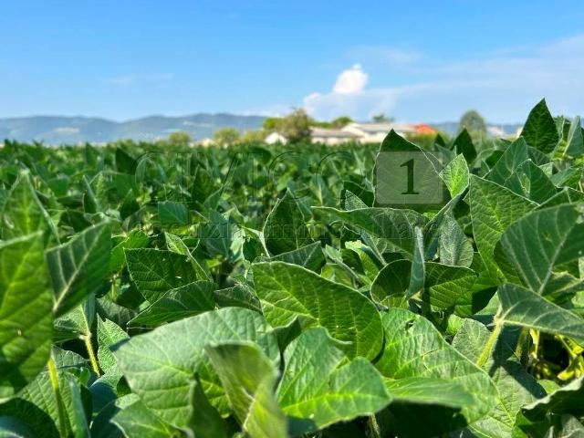 Terreno in vendita a Castegnero VI