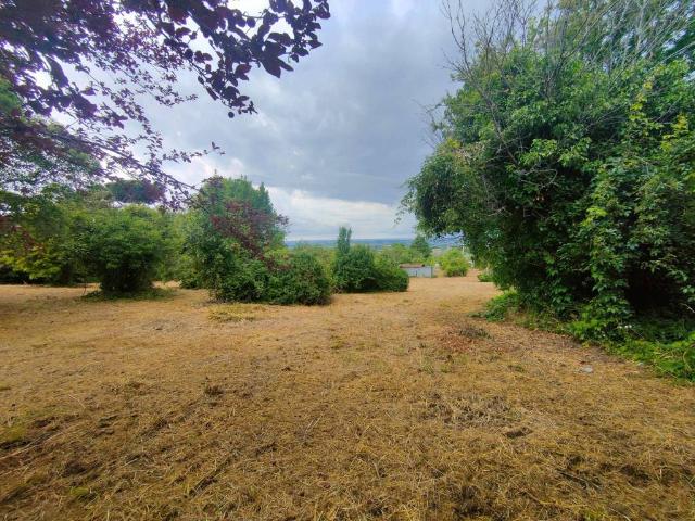 Terreno in vendita a Castel Gandolfo RM