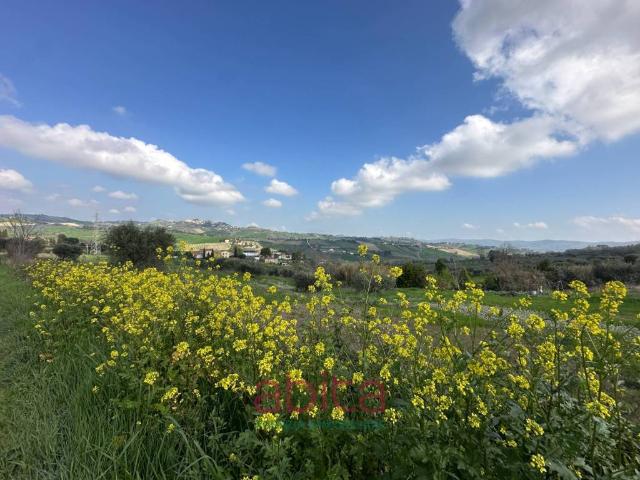 Terreno in vendita a Castel di Lama AP