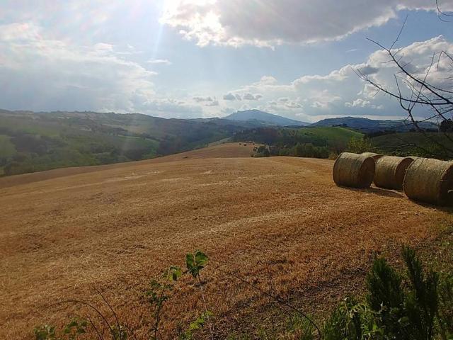 Terreno in vendita a Castel di Lama AP