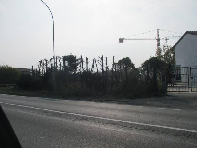 Terreno in vendita a Castel San Giovanni PC