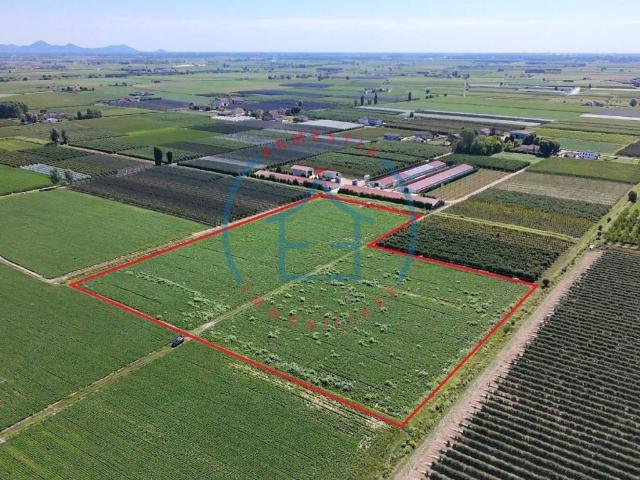 Terreno in vendita a Castelbaldo PD