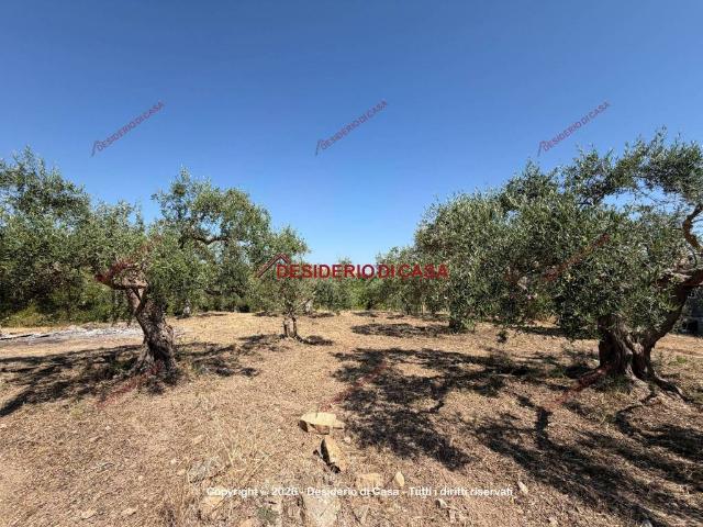 Terreno in vendita a Casteldaccia PA