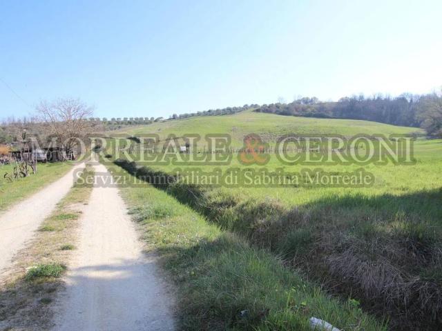 Terreno in vendita a Castelfiorentino FI