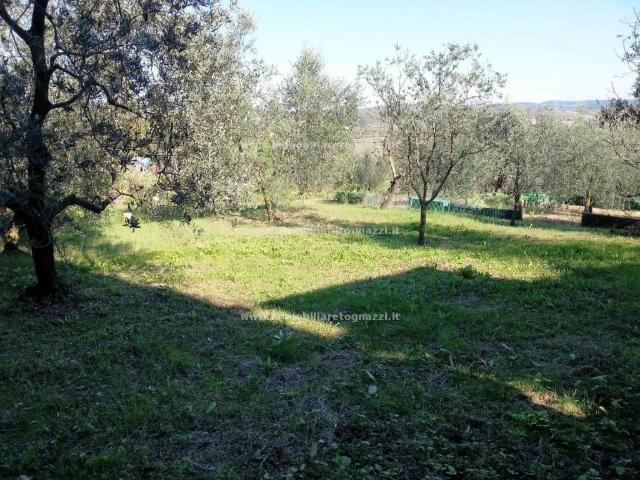 Terreno in vendita a Castelfiorentino FI