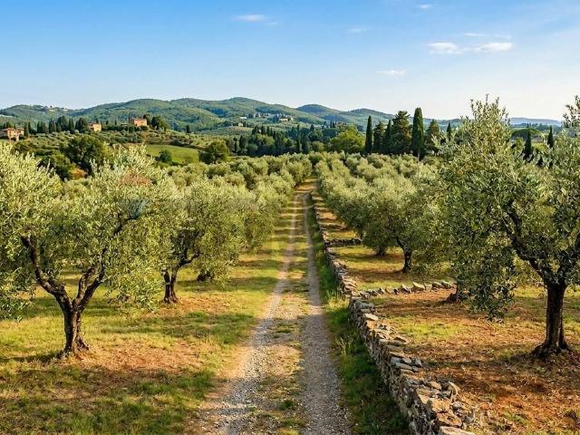 Terreno in vendita a Castelfranco Piandisco AR
