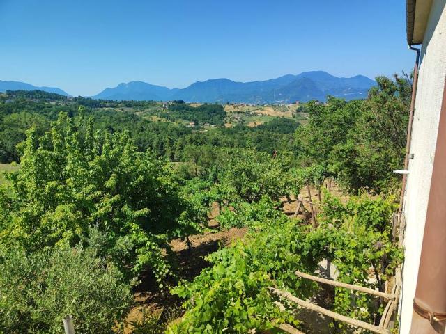 Terreno in vendita a Castelfranci AV