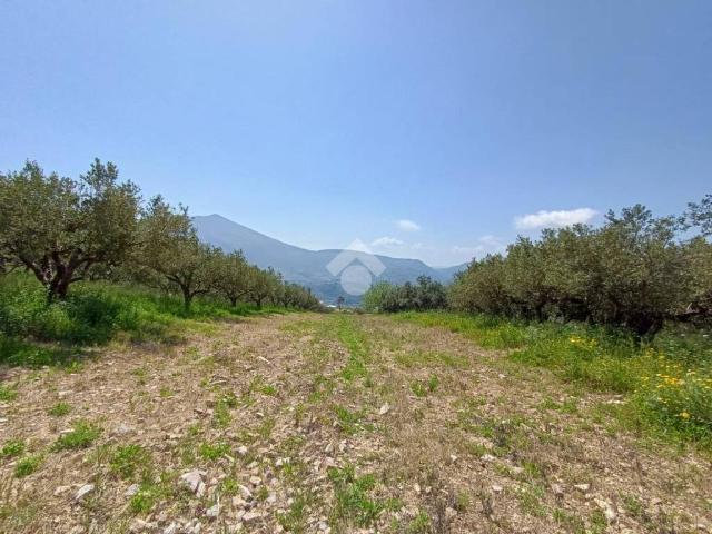 Terreno in vendita a Castellammare del Golfo TP