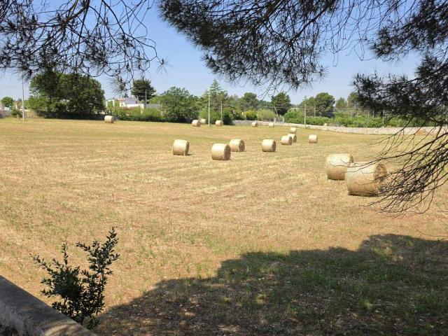 Terreno in vendita a Castellana Grotte BA
