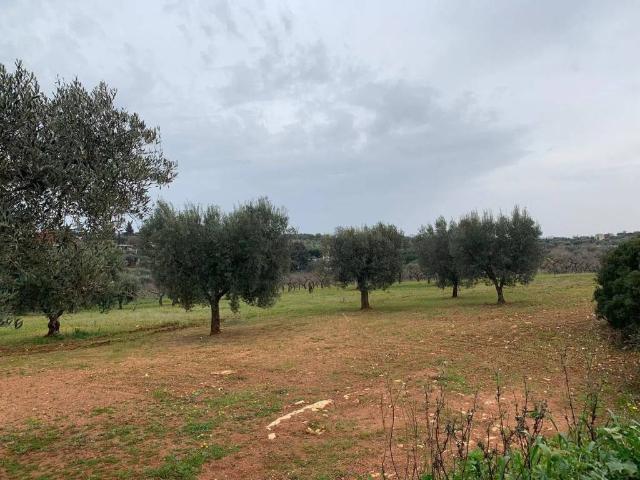 Terreno in vendita a Castellana Grotte BA
