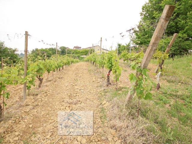 Terreno in vendita a Castellania Coppi AL