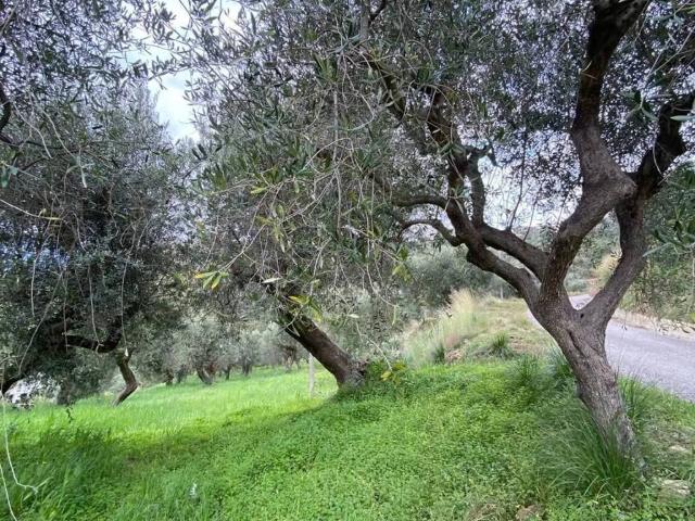 Terreno in vendita a Castellabate SA