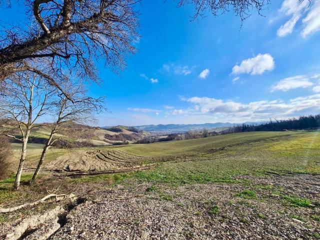 Terreno in vendita a Castellarano RE