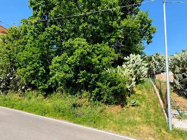 Terreno in vendita a Castell'Umberto ME