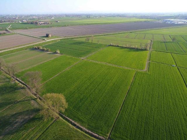 Terreno in vendita a Castelnovo di Sotto RE