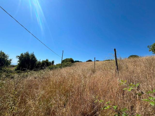 Terreno in vendita a Castelnuovo di Porto RM