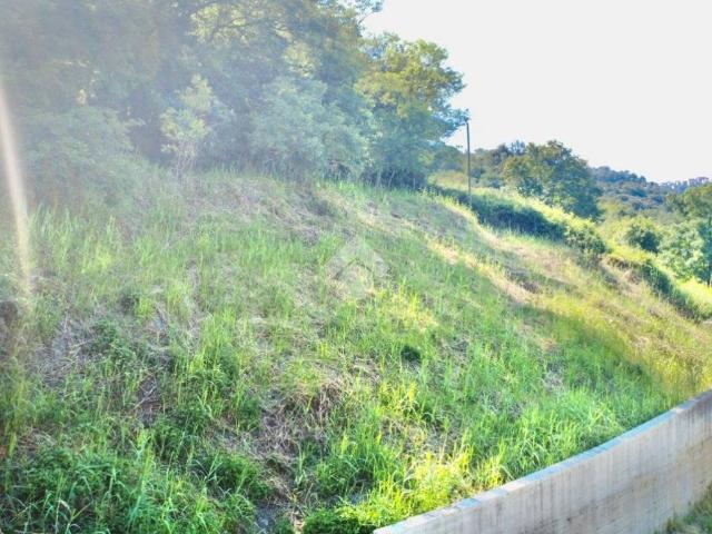 Terreno in vendita a Castelnuovo di Porto RM