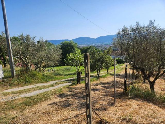 Terreno in vendita a Castelnuovo Magra SP