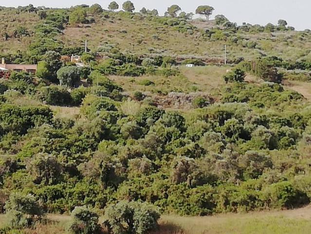 Terreno in vendita a Castelsardo SS