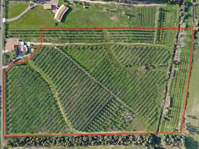 Terreno in vendita a Castiadas SU