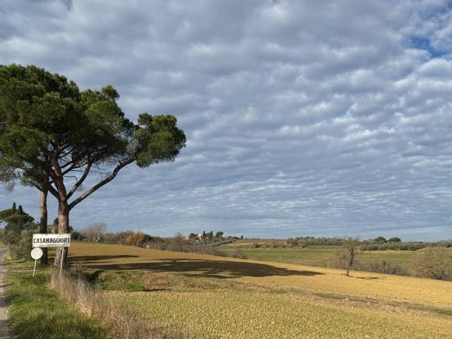 Terreno in vendita a Castiglione del Lago PG
