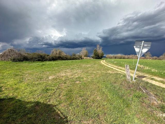 Terreno in vendita a Castiglione del Lago PG