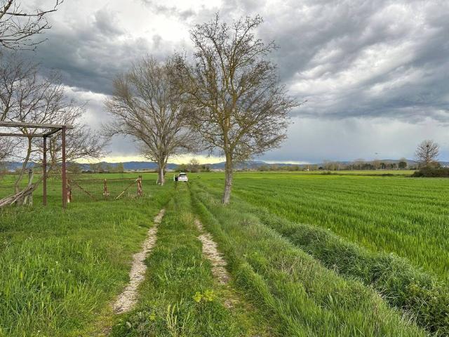 Terreno in vendita a Castiglione del Lago PG
