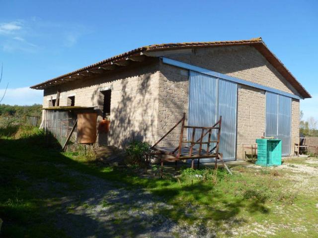 Terreno in vendita a Castiglione del Lago PG