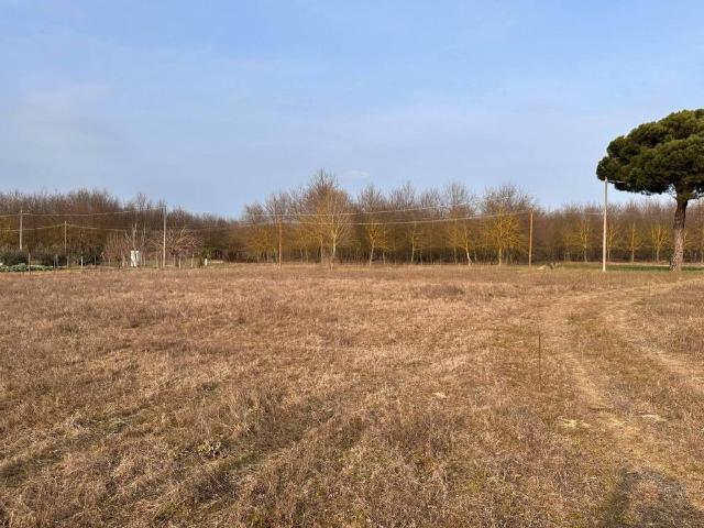 Terreno in vendita a Castiglione del Lago PG