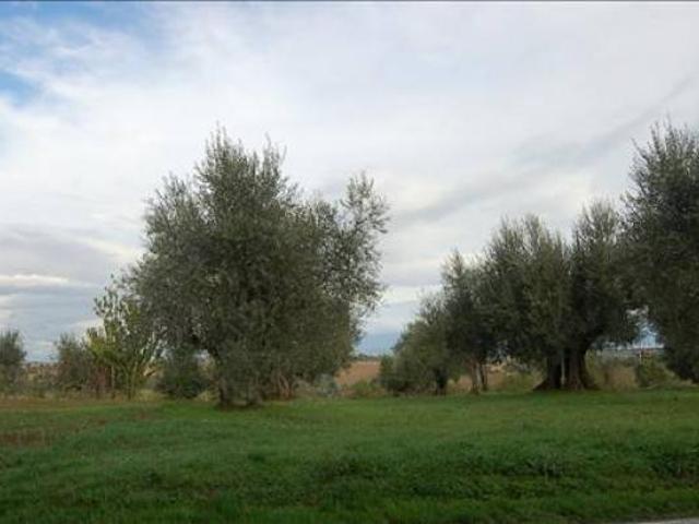 Terreno in vendita a Castiglione del Lago PG