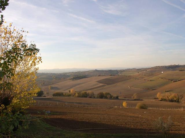 Terreno in vendita a Castiglione del Lago PG