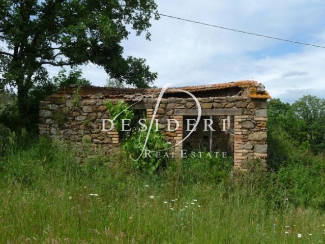 Terreno in vendita a Castiglione della Pescaia