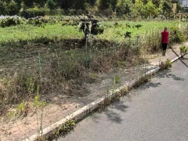 Terreno in vendita a Castrovillari CS