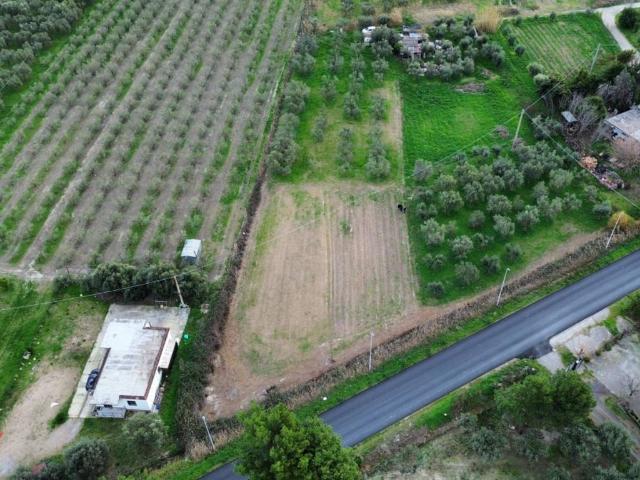 Terreno in vendita a Castrovillari CS