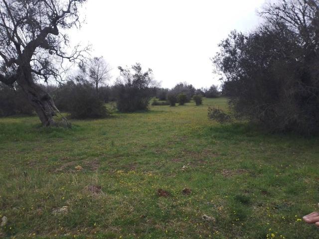 Terreno in vendita a Castri di Lecce LE