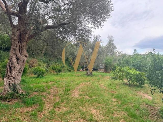 Terreno in vendita a Casagiove CE