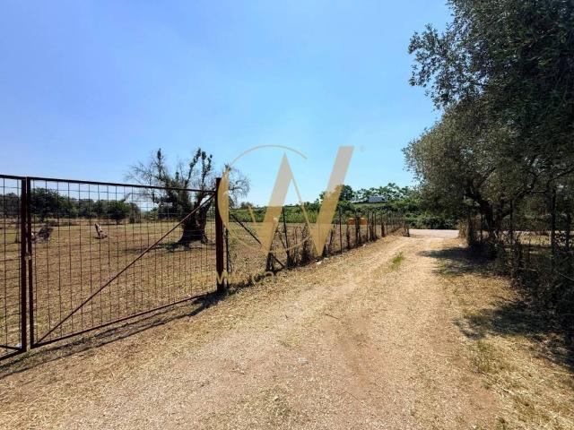 Terreno in vendita a Casagiove CE