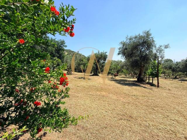 Terreno in vendita a Casagiove CE