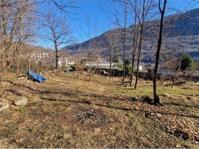 Terreno in vendita a Casale Corte Cerro VB