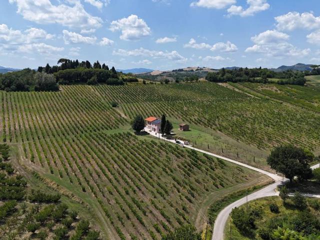 Terreno in vendita a Casalfiumanese BO