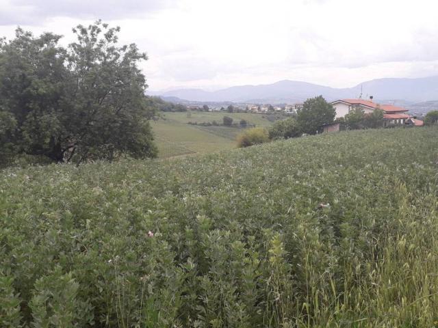 Terreno in vendita a Casalincontrada CH