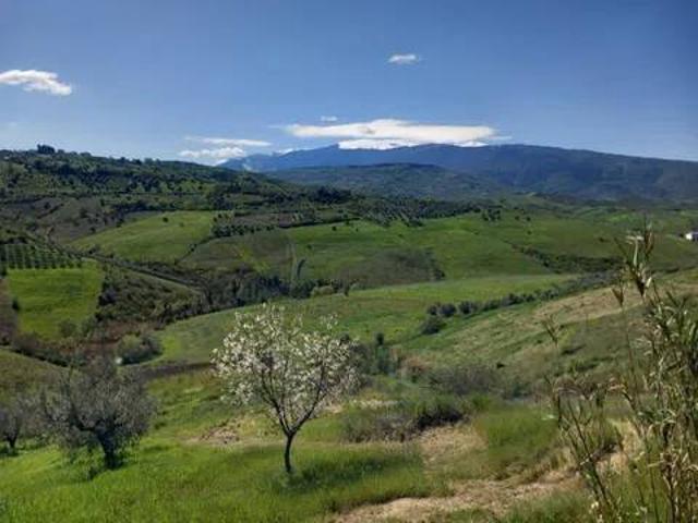 Terreno in vendita a Casalincontrada CH
