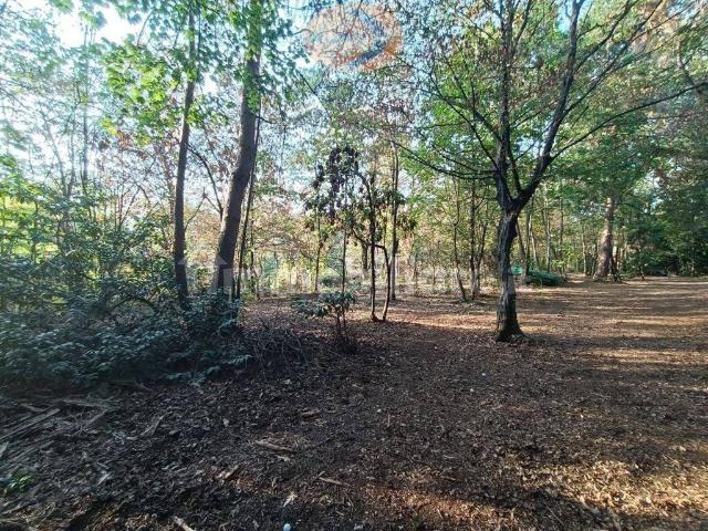 Terreno in vendita a Casatenovo LC