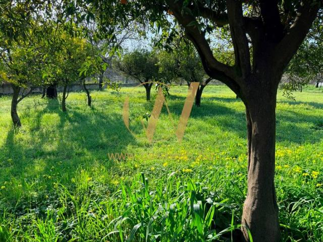 Terreno in vendita a Caserta CE