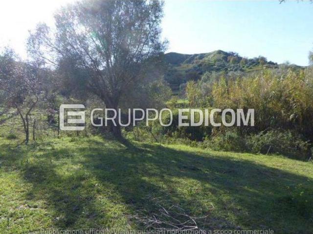 Terreno in vendita a Casignana Rif. 4552905