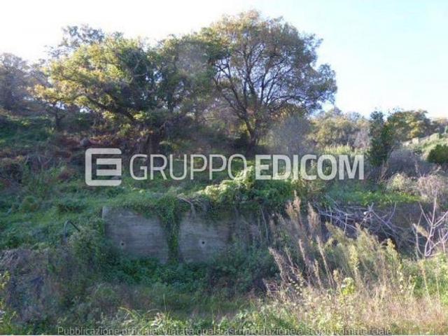 Terreno in vendita a Casignana Rif. 4552907